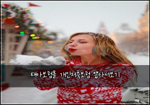 ํ์๋ณดํ๋ชฐ ๊ฐ์ธ์ ์ถ๋ณดํ ๋ฝ์์๋ณด๊ธฐ