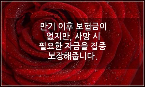 오늘의 이미지