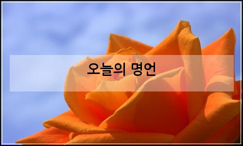 오늘의 이미지