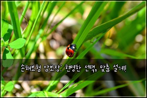 손해보험 암보장: 현명한 선택, 맞춤 설계!