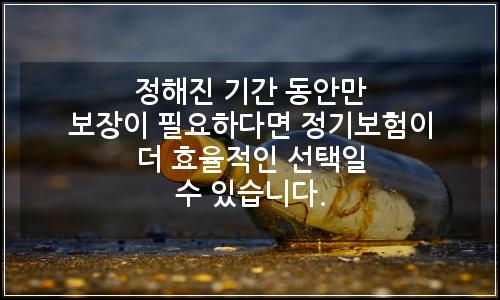 오늘의 이미지
