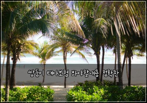 쌍둥이 태아보험 봐야할내용  정확한