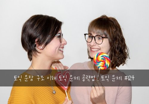 토익 문장 구조 이해 토익 문제 공략법 : 토익 문제 #124