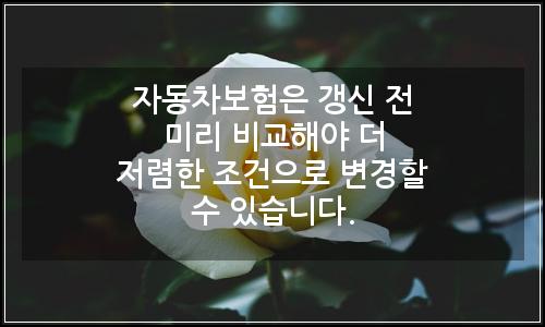 오늘의 이미지