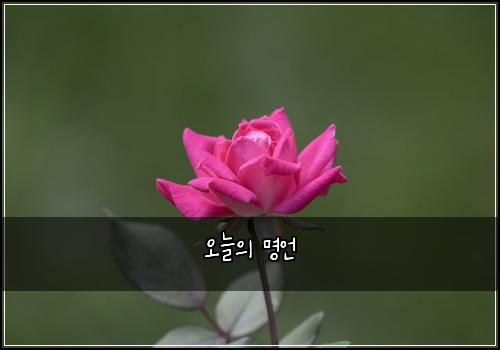 오늘의 명언