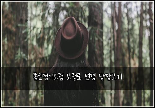 종신정기보험 보험료 변경 당장보기