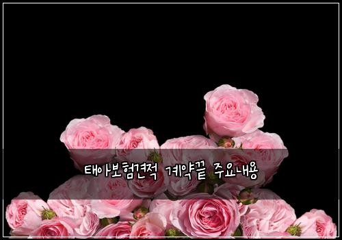 νμ보ν견μ κ³μ½λ μ£Όμλ΄μ©
