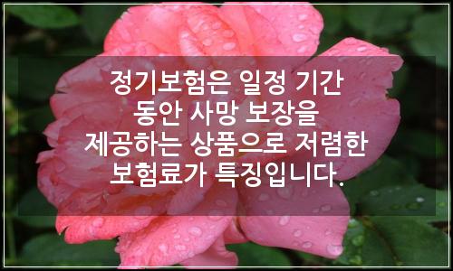 오늘의 이미지
