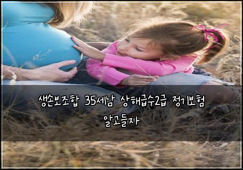 생손보조합 35세남 상해급수2급 정기보험 알고들자 