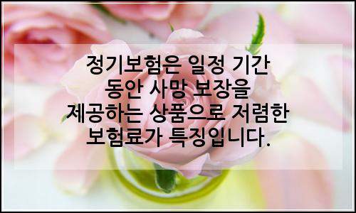 오늘의 이미지