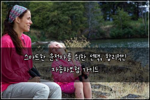  스마트한 운전자를 위한 선택, 합리적인 자동차보험 가이드