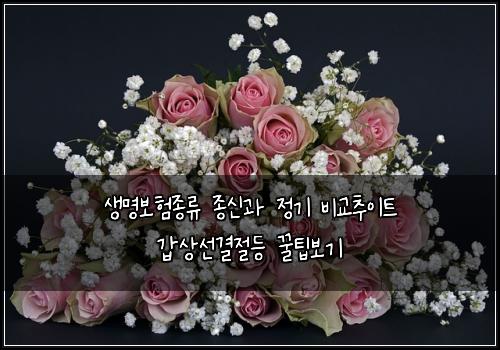 ์๋ช
๋ณดํ์ข
๋ฅ ์ข
์ ๊ณผ ์ ๊ธฐ ๋น๊ต์ถ์ดํธ ๊ฐ์์ ๊ฒฐ์ ๋ฑ ๊ฟํ๋ณด๊ธฐ