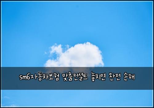 sm6자동차보험 맞춤컨설트  놓치면 완전 손해