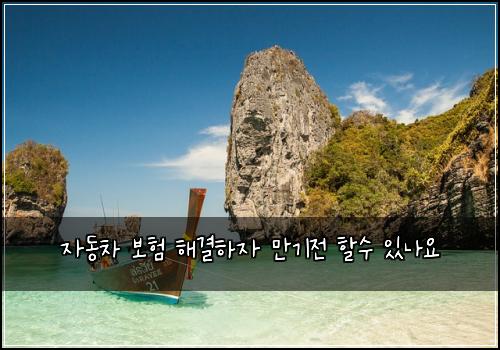 ์๋์ฐจ ๋ณดํ ํด๊ฒฐํ์ ๋ง๊ธฐ์ ํ ์ ์๋์