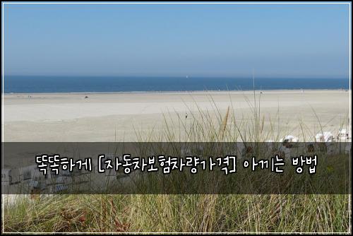  똑똑하게 [자동차보험차량가격] 아끼는 방법