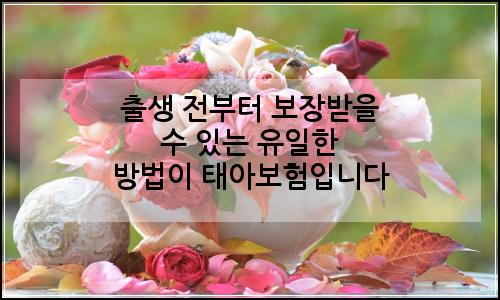 오늘의 이미지