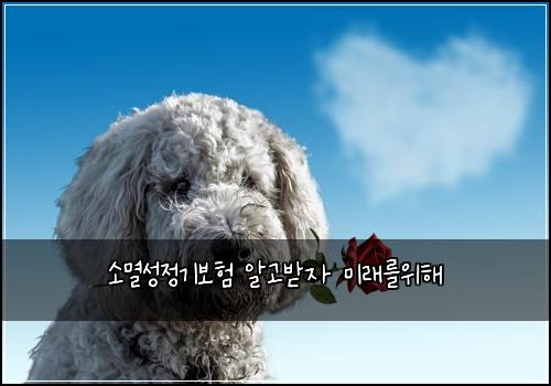์๋ฉธ์ฑ์ ๊ธฐ๋ณดํ ์๊ณ ๋ฐ์ ๋ฏธ๋๋ฅผ์ํด