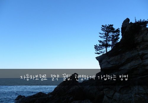 자동차보험료 절약 꿀팁: 현명하게 가입하는 방법