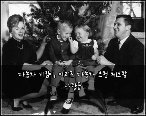 자동차 지킴이, 메리츠 자동차 보험 체크할 사항들