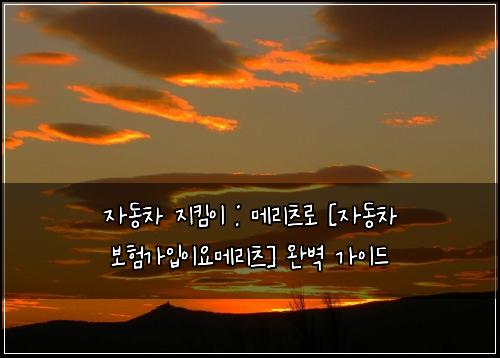 자동차 지킴이 : 메리츠로 [자동차 보험가입이요메리츠] 완벽 가이드