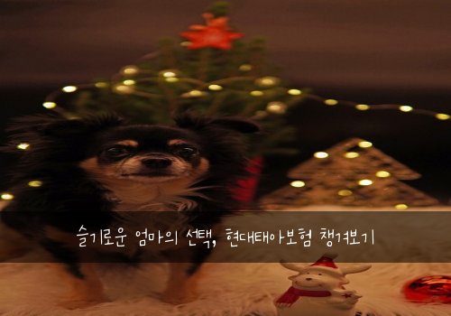  슬기로운 엄마의 선택, 현대태아보험 챙겨보기