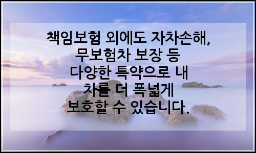 오늘의 이미지