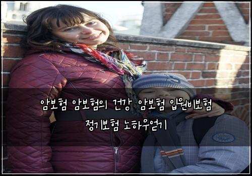 암보험 암보험의 건강 암보험 입원비보험 정기보험 노하우얻기