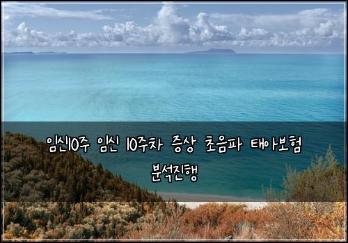 임신10주 임신 10주차 증상 초음파 태아보험 분석진행 