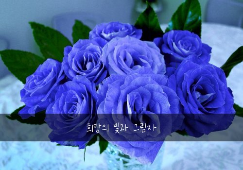 희망의 빛과 그림자