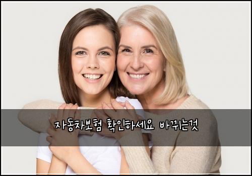 ์๋์ฐจ๋ณดํ ํ์ธํ์ธ์ ๋ฐ๋๋๊ฒ