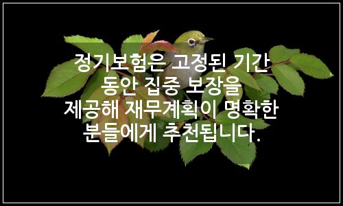 오늘의 이미지