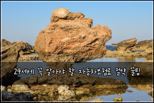 24세에 꼭 알아야 할 자동차보험료 절약 꿀팁