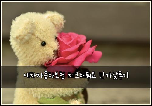 ๋ด์ฐจ์๋์ฐจ๋ณดํ ์ฒดํฌํด๋ฌ์ ๋จ๊ฐ๋ฎ์ถ๊ธฐ