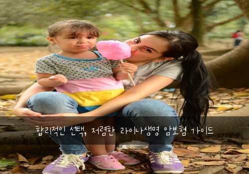  합리적인 선택, 저렴한 라이나생명 암보험 가이드