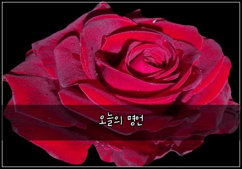 오늘의 명언