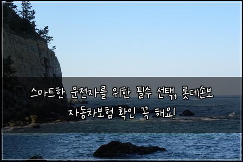  스마트한 운전자를 위한 필수 선택, 롯데손보 자동차보험 확인 꼭 해요!