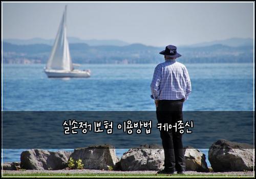 실손정기보험 이용방법  케어종신