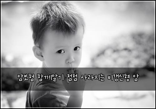 암보험 함께알기  점점 사라지는 비갱신형 암