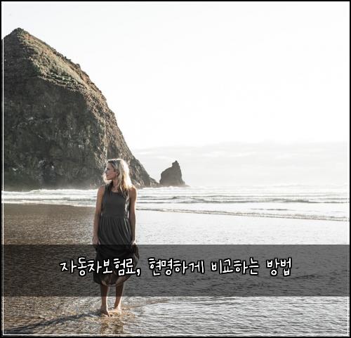 자동차보험료, 현명하게 비교하는 방법