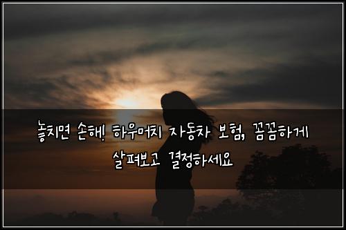  놓치면 손해! 하우머치 자동차 보험, 꼼꼼하게 살펴보고 결정하세요