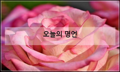 오늘의 이미지