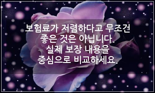 오늘의 이미지