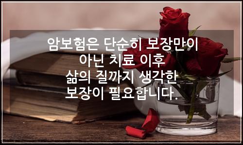 오늘의 이미지