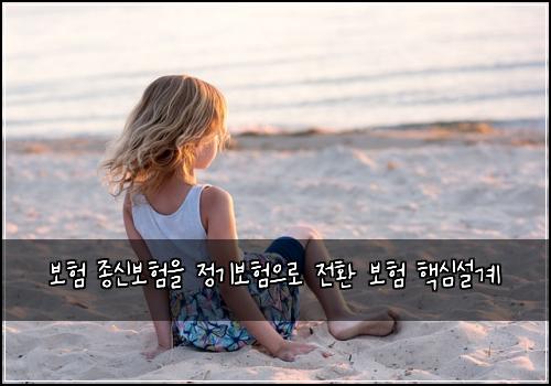 ๋ณดํ ์ข
์ ๋ณดํ์ ์ ๊ธฐ๋ณดํ์ผ๋ก ์ ํ ๋ณดํ ํต์ฌ์ค๊ณ