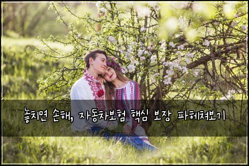  놓치면 손해, 자동차보험 핵심 보장 파헤쳐보기