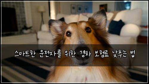  스마트한 운전자를 위한 경차 보험료 낮추는 법