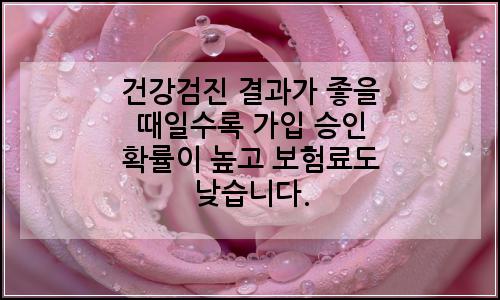 오늘의 이미지