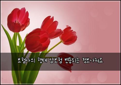 ๋ณดํ์ฌ์ ํํ ์๋ณดํ ๋ณ๋๋๋ ์ ๋ณด๋๋ ์