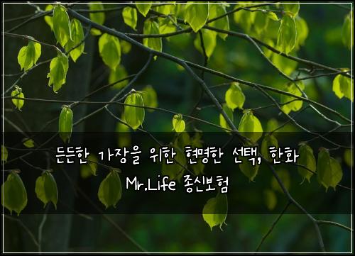  든든한 가장을 위한 현명한 선택, 한화 Mr.Life 종신보험