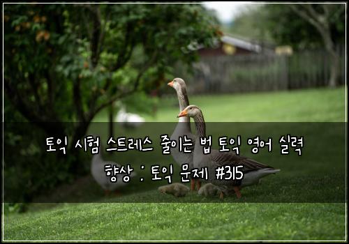 토익 시험 스트레스 줄이는 법 토익 영어 실력 향상 : 토익 문제 #315